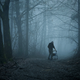 Image for article titled Assisted Living Center Gives Residents Independence To Wander Off And Die On Their Own